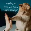 rabiarobi1
