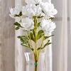 ameera505075