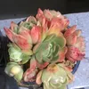sunny_032022