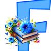 chaouki8elmaryoul