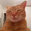 imasleepybitch