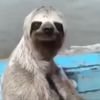car_eeeeee