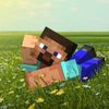 goose_fought