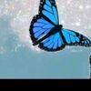 sophia_beebe12