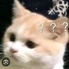 user15553497974822