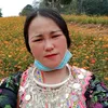 ngohzoo0