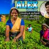 alexpandian619