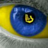 ah_alabdali933
