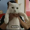 hocngu_o_epu