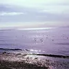 makuraluv