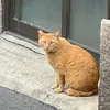 amanojaku01290