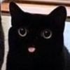 nibblt