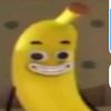 capuibara