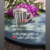 user8229583