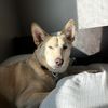 bailey_mcd01