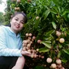 hoaithu.1991ty