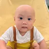 behai4493