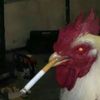 gingamofo
