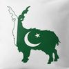 junaidarshad37