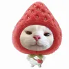 lethiminhanh23
