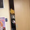 ウォンバット