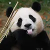 thanhhuyen9397