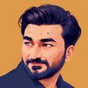 aamirhayatmalik