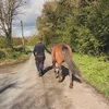 simonburke43