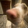 tiegan.v
