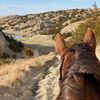 nebraskaendurancegirl