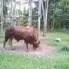 myusuf077