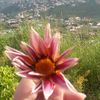 fatimafarran3