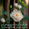 haydr_d2