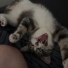 jacobb.m_21