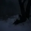 Hujik