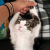 loki_7789