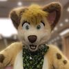 mintcollie