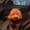 anh_tai92