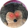 donutthedonal
