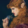 _thellamacorn_