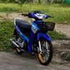 pitthaya263