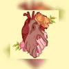 shilan.roj.ava