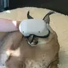 floppa_fan