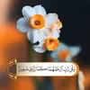 warda.y.asad