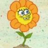 flea_tomatosauce