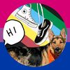 all_4_paws88