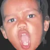 n4o.mi