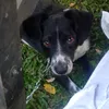 bejaranoesmeralda
