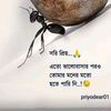 minkhan7132ala