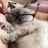 laladatte